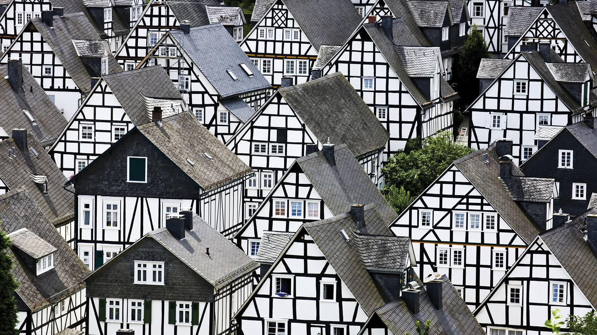 世界射击锦标赛金牌争夺白热化,世界射击锦标赛项目